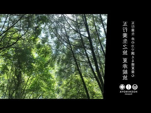 五行 夏